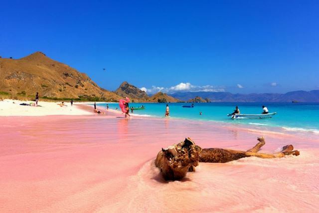 Pantai Pink Nusa Tenggara Timur
