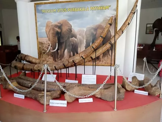 Museum Purbakala Patiayam