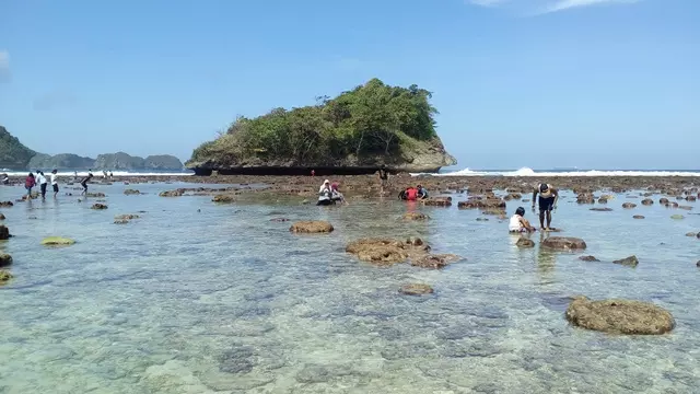 Pantai Teluk Asmara Malang